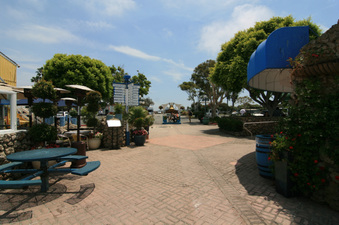 Enlarge photo 7