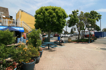 Enlarge photo 8