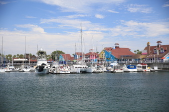 Enlarge photo 17