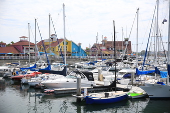 Enlarge photo 24
