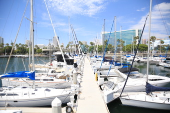 Enlarge photo 40