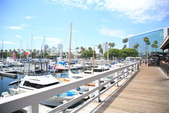 Enlarge photo 55