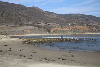 Enlarge photo 21