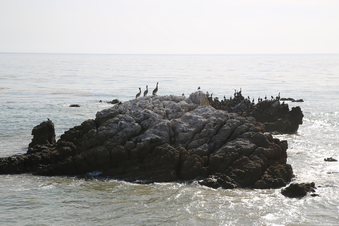 Enlarge photo 25