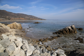 Enlarge photo 35