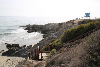 Enlarge photo 46