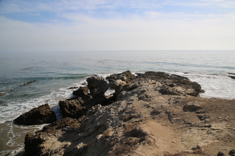Enlarge photo 49