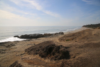 Enlarge photo 52