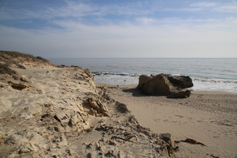Enlarge photo 58