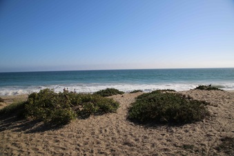 Enlarge photo 13