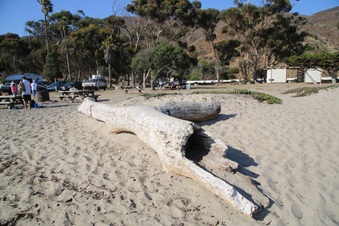 Enlarge photo 18