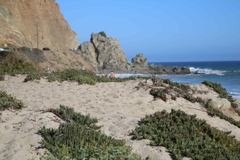 Enlarge photo 22