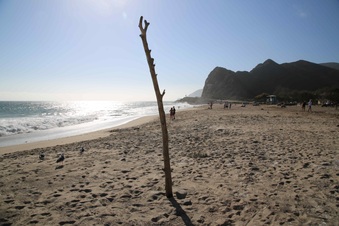 Enlarge photo 24