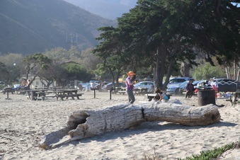 Enlarge photo 27