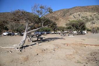 Enlarge photo 28