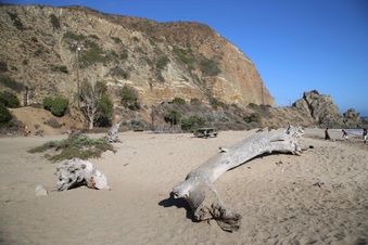Enlarge photo 37