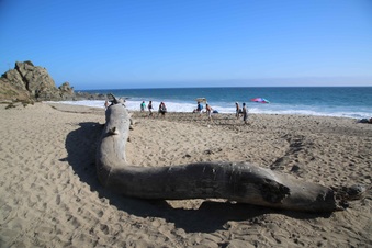 Enlarge photo 38