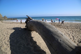 Enlarge photo 39