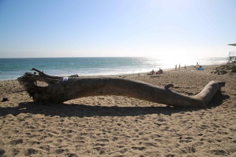 Enlarge photo 40