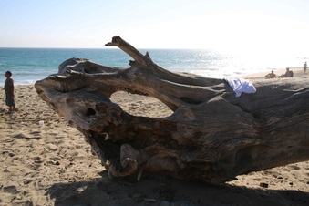 Enlarge photo 42