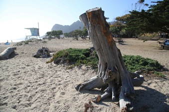 Enlarge photo 46