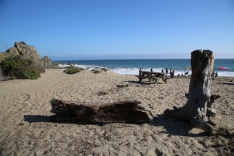 Enlarge photo 49