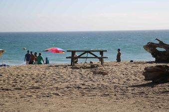 Enlarge photo 54