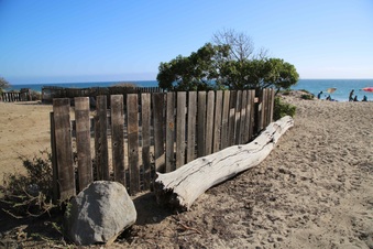 Enlarge photo 56