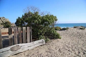 Enlarge photo 57