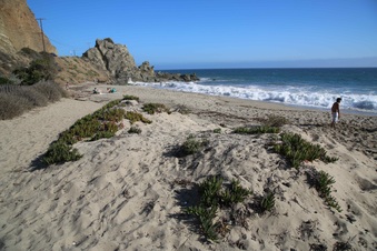 Enlarge photo 59