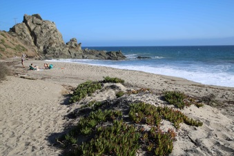 Enlarge photo 60