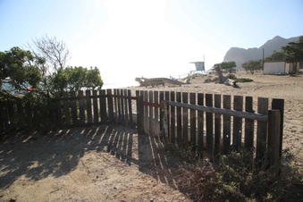 Enlarge photo 61