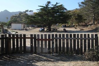 Enlarge photo 62