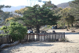 Enlarge photo 64
