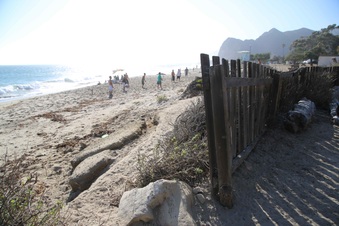 Enlarge photo 66