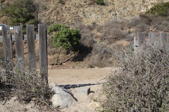 Enlarge photo 67