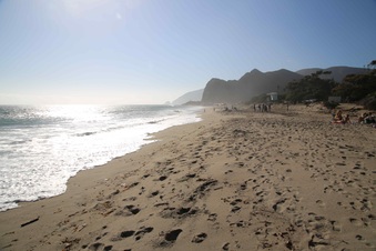 Enlarge photo 71