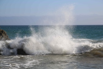 Enlarge photo 79