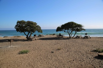 Enlarge photo 83