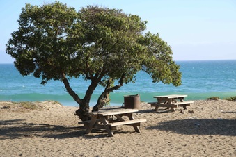 Enlarge photo 84