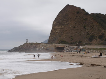 Enlarge photo 86