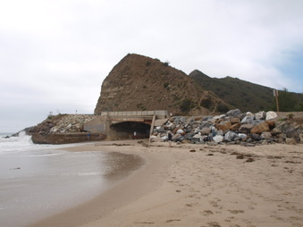 Enlarge photo 89