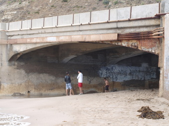 Enlarge photo 91