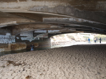 Enlarge photo 93