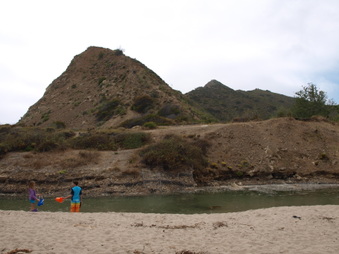 Enlarge photo 98