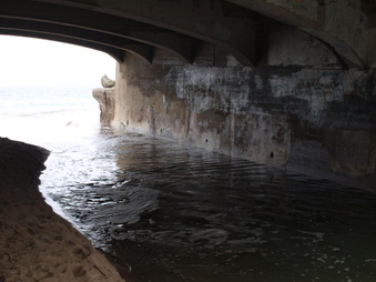 Enlarge photo 99