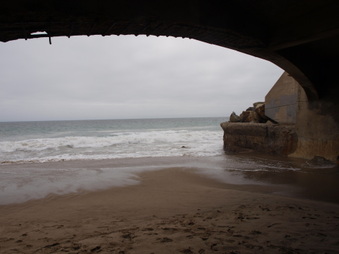 Enlarge photo 102