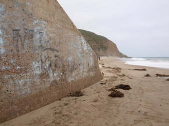 Enlarge photo 103
