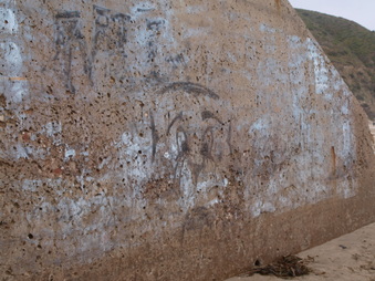 Enlarge photo 104