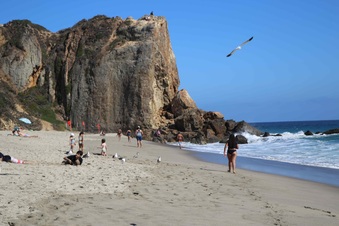 Enlarge photo 15